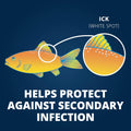 Tetra Ick Guard Conditioning Remedy for Fish, 8 Count