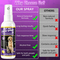 Effectively | Bitter Apple Spray for Dogs, 100ml No Chew Spray for Dogs to Stop Chewing, Preventing Puppies from Damagin
