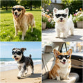 Dog Sunglasses UV Wind Dust Protection Pet Glasses with Adjustable Strap Party Cosplay Costume Photo Props for Small Dog