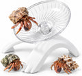 Hamster Wheel, 12.7cm Diameter Hermit Crab Wheel for Small Pets