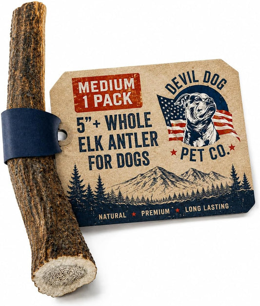 Devil Dog Pet Co. Elk Antlers for Dogs, Natural Dog Chew for Aggressive Chewers - Long Lasting and Odor Free - USA Sourced - Cleaner Teeth, Anxiety & Boredom Relief - Whole Medium 5"+ - Antler Bone