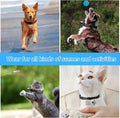 HD 1080P Cat POV Camera Collar with Video Record, Mini Small Sports Video Cameras, Body Cam Outdoor/Inoor No WiFi, Uniqu