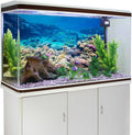 Aquarium Background Coral Tropical Undersea Fish Tank Backdrop 36x20 inches