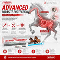 Ivermectin Horse Paste 1.87% | Unflavored – 6.08g Syringe for Equine Use Only Up to 1250 LB