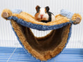 Fleece Winter Warm Rat Hammock, Double Layer Hanging Birds Nest Bed with Warm Fleece, Bird Cage Stand Perch, Hideaway Ca