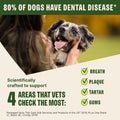Wellness WHIMZEES Brushzees Natural Dog Dental Treat, VOHC Accepted Chews, Freshens Breath, Extra-Small Size, 4.2 oz Bag, 16 Count
