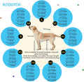 ROZKITCH Dog Onesie with Feet Covered, Prevent Licking & Shedding Recovery Suit, e-Collar Alternative 4-Sleeve with Adju