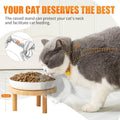 Lusifaco Shallow Wide Elevated Cat Bowls Whisker Fatigue (White, Set of 2)