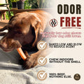 Bully Bunches Premium (6" Jumbo - 6 Pack) Odor-Free Bully Sticks for Medium & Large Dogs - Consistently Sized, Long Last