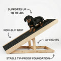 AlphaPaw - Original Natural Wood PawRamp for Small & Large Dogs - No Assembly Required - Adjustable Height Pet Ramp for 