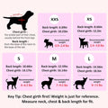 2 Pieces Dog Sweater for Small Dogs Chihuahua Clothes Spring Winter Cute Knitwear Turtleneck Thick Warm Clothes for Yorkie Cat Extra Small Dog Clothes (XX-Small)