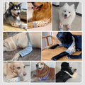 MANON ROSA Dog Elbow Pads – Knee Wrap Front Leg Sleeves for Large Dogs, Wound Protection & Anti-Licking Brace for Injure