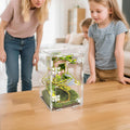 Acrylic Jumping Spider Habitat, Reptile Terrarium Easy Assembly, Bug Enclosure, Praying Mantis Habitat, Frog Enclosure, 