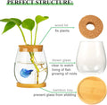 Desktop Fish Bowl Clear Glass Small Fish Tank with Wood Lid and Bamboo Stand for Betta Fish Plants Terrarium Home Office