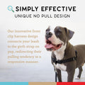 Wildebeest No Pull Dog Harness | Comfortable Training Harnesses | Effective No Pull Harness Design | Ideal for Large Siz