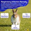 HealthyAnimals4Ever HA4E - Rabbit Respiratory Treatment - Support for Snuffles, URI & Breathing Relief - Preventive Care