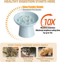 Ceramic Elevated Slow Feeder Cat Bowl - 6" Raised Cat Food Bowl for Bloat Relief & Anti-Vomiting, Whisker Friendly Ceram
