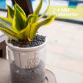 3lb Black Cactus Pea Gravel Rocks,1/4 Inch Pebbles for Indoor Plants, Natural Succulent Rock and River Rocks Decorative 