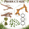 Layhit 5 Pcs Snake Climbing Branch Ring Reptile Wood Trunk Tank Decor Reptile Climbing Habitat Accessory for Terrarium T
