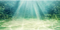 24x16 inches Aquarium Backdrop Underwater Ocean Floor Fish Tank Background