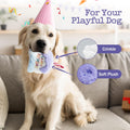Fuzzwoof Dog Happy Birthday Cake Toy with Crinkle, Stuffed Plush Puppy Present for Birthday Party, Dog Toy for Small Medium