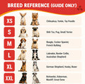 Service Dog Vest, ID Tag and ADA Info Cards - Harness in X Small to XX Large, Durable Metal Tag, 2-Sided Service Animal Cards. ESA Accessory Set