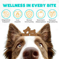 Probiotic Chews for Dogs, 150 Count, Digestive, Gut Health Support