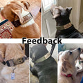 Tactical Dog Collar Military Adjustable Dog Collars Soft Nylon Training Collar with Patch Heavy Duty Metal Buckle Collars for Medium Large Dogs (Black, L)