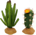 Reptile Plants Succulent, Artificial Desert Rain Forests Plants, Set 2