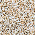 Happy Wings 5LB Sunflower Heart & Chips (Kernels) Bird Food, No Waste