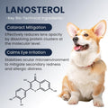 Cataract Drops for Dogs, Dog Eye Drops for Relieving Itching & Irritation, Vet Recommend Eye Drops for Dogs Eye Infection Treatment, Long-Lasting Relief for Dryness Pink Eyes Vision Clarity (2 X10ml)