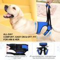 LIANZIMAU Dog Sling for Large Dogs Adjustable Hind Leg Support Lift Harness Senior Canine Mobility Aid Carrier for Back 