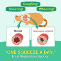 Doctor By Cat Breath Bronchial Supplements Cat Sneezing Treatment Asthma Cold Cough Nose Relief Respiratory&Immune Suppo