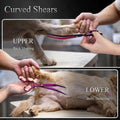 Purple Dragon 8.0 inch Professional Pet Grooming Scissors,Dog Straight Shear, Thinning/Blending Scissor & 2 PCS Curved Shear with Bag (Purple)