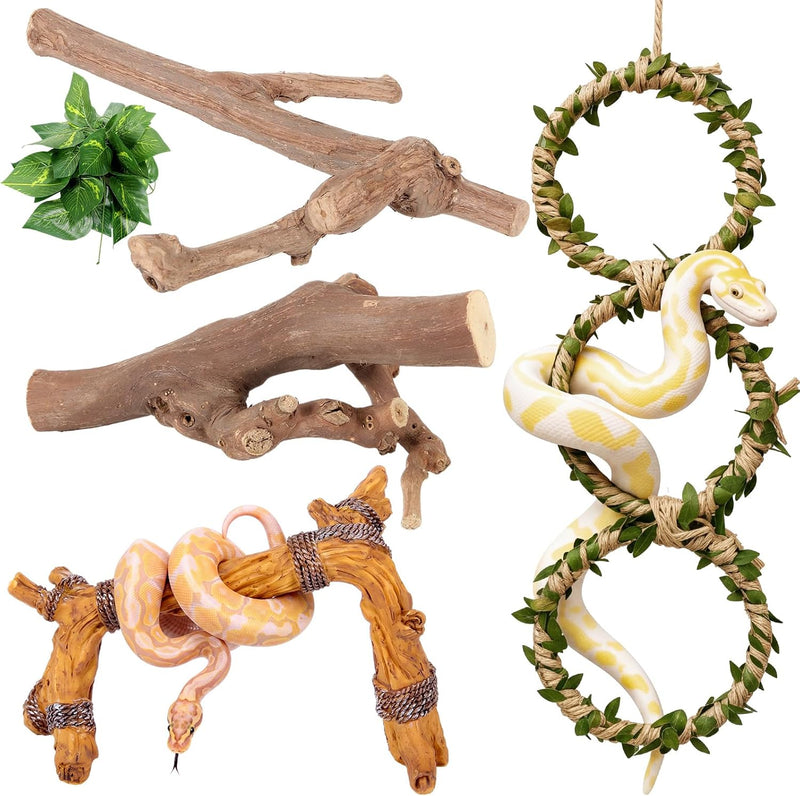 Layhit 5 Pcs Snake Climbing Branch Ring Reptile Wood Trunk Tank Decor Reptile Climbing Habitat Accessory for Terrarium T