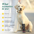 Strap-On Drop Foot Brace (No Knuckling Boot Brace) for Dogs, M