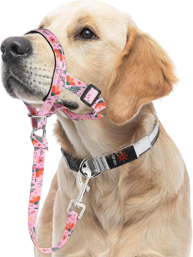 HIGO Dog Head Collar, Adjustable Head Collar for Dogs, No Pulling Head Halter, Training Nose Leash, 3 Pattern Muzzle Lea