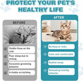 CPFK Natural Cat Care Drops Cat Health Supplement Drops Skin Itch Relief Shiny Coat with Omega-3 & Chicken Flavor Suitable for All Breeds of Cats 2 Fl Oz 2 Pack