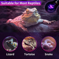 LUCKY HERP Reptile Heat Lamp 50W 2 Pack, Reptile Night Heat Bulb, Reptiles & Amphibians Basking Spot Light Bulb for Bear