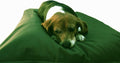 Dogbed4less DIY Pet Bed Pillow Denim Cover + Waterproof Internal case for Dog/Cat at Medium 36"X29" Olive Green Color - Covers only
