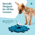 FluentPet Talking Buttons for Dogs & Cats, Recordable Pet Communication Kit