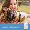 Kate's Home & Garden Flea and Tick Spray for Dogs and Cats – 32 oz Natural Peppermint Flea Spray – Kills & Repels Fleas, Ticks, Mosquitoes – Pet Safe