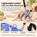 3 Pack Sugar Glider Harness and Leash Set Small Animal Training Walking Vest for Squirrel Hamster Rat Blue