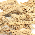 Koyal Wholesale Natural Cholla Wood Aquarium Branches, Airplants Decor, Reptile Perch, Untreated Cholla Wood Piece, Aqua