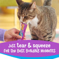 Friskies Purina Lil' Lickables with Chicken, Cat Treats - 16 oz. Carton