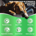 Grateful Pawz Hemp Calming Chews for Dogs - Dog Calming Chews - 170 Anxiety Relief Treats with Hemp Oil - Sleep Aid - Advanced Health Joint Support Supplement - Health & Wellness