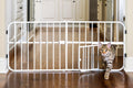 Carlson 24-38" Lil Tuffy Expandable Metal Dog Gate for Doorways, Indoor Pet Gate with Small Pet Door, No-Drill Pressure Mount, White