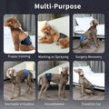 JoyDaog 5 Pack Washable Male Dog Diapers,Reusable Small Dog Belly Bands,M