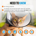 Cat Wound Care Spray with Silver – Wounds, Rashes, Hot Spots, Itch, Scratching, Irritation, Bites & Burns – Use a Cat Cone to Prevent Licking – Safe Formula – 4 Oz