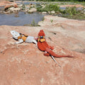 3 Pack Bearded Dragon Harness and Leash Set, Small Animal Traction Rope